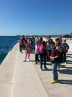 Zadar   Morske Orgulje
